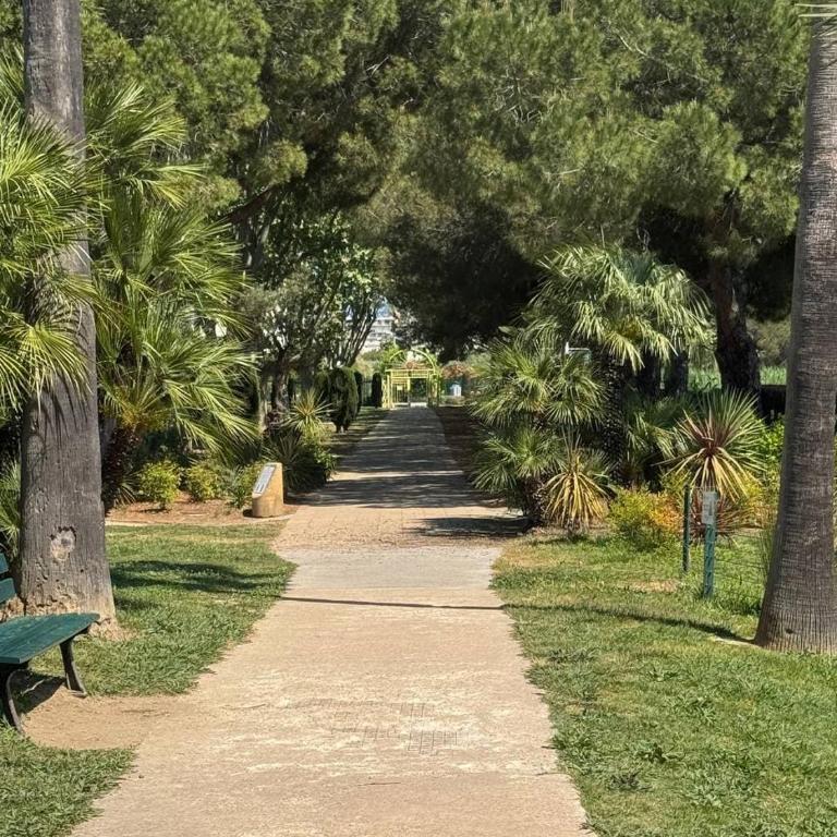 Apartment near the beach and pool - Appartement 1 Chambre - 57