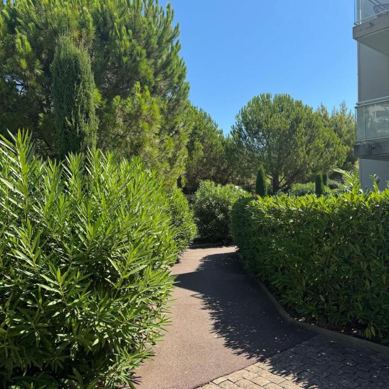 Apartment near the beach and pool - Appartement 1 Chambre - 62
