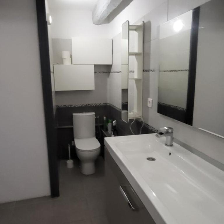 Appartement type loft au coeur de la campagne provençale - Apartamento de 2 dormitorios - 7