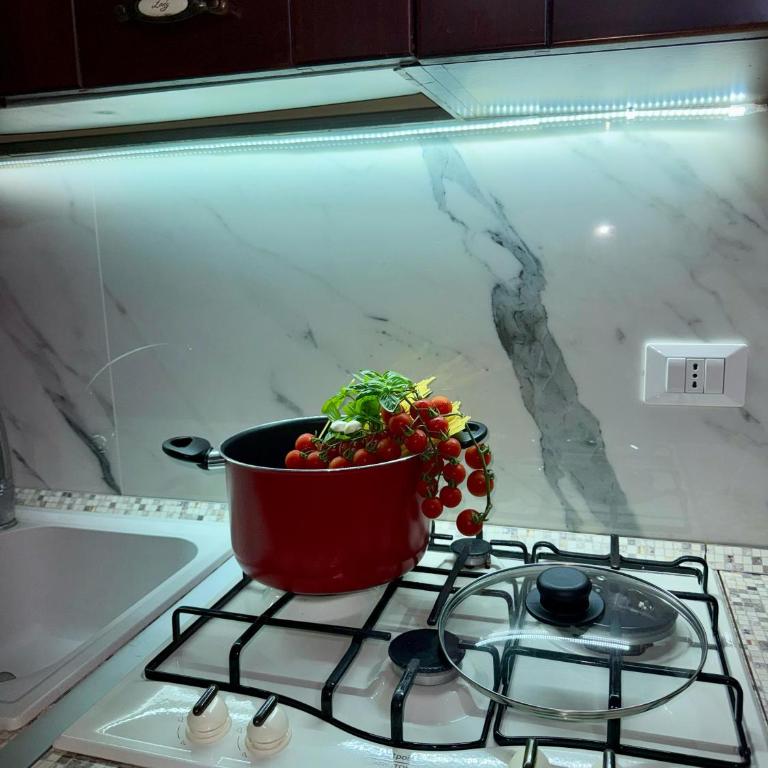 Emily Apartment - Appartamento con 1 Camera da Letto - 13