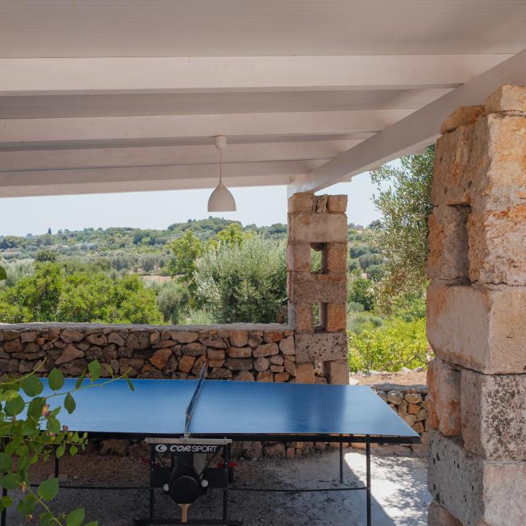 Trullo Agapanthus With Panoramic - Villa con Vista Giardino - 42