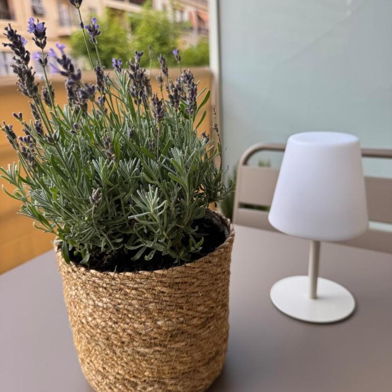 Suite Victoria Beach - Carré d'Or - Terrasse - Plage 50 m - Appartement 1 Chambre - 24