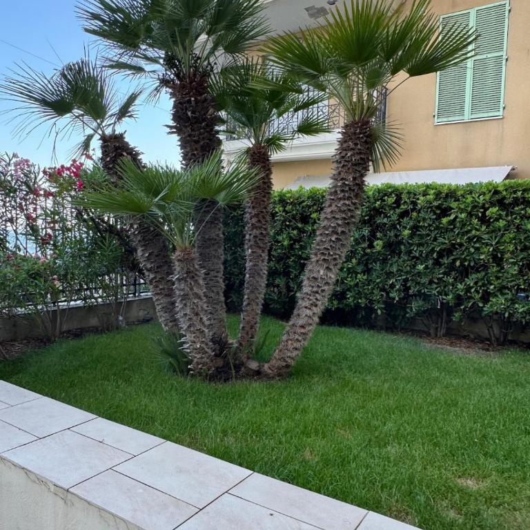 Suite Victoria Beach - Carré d'Or - Terrasse - Plage 50 m - Appartement 1 Chambre - 11