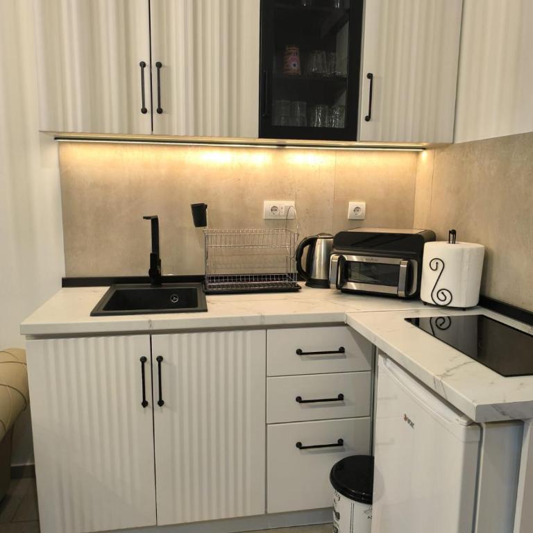 Apartman Izvor Tišine - Apartment mit 1 Schlafzimmer - 11