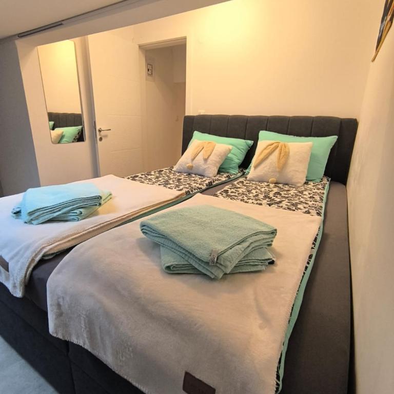 Apartman Izvor Tišine - Apartment mit 1 Schlafzimmer - 16