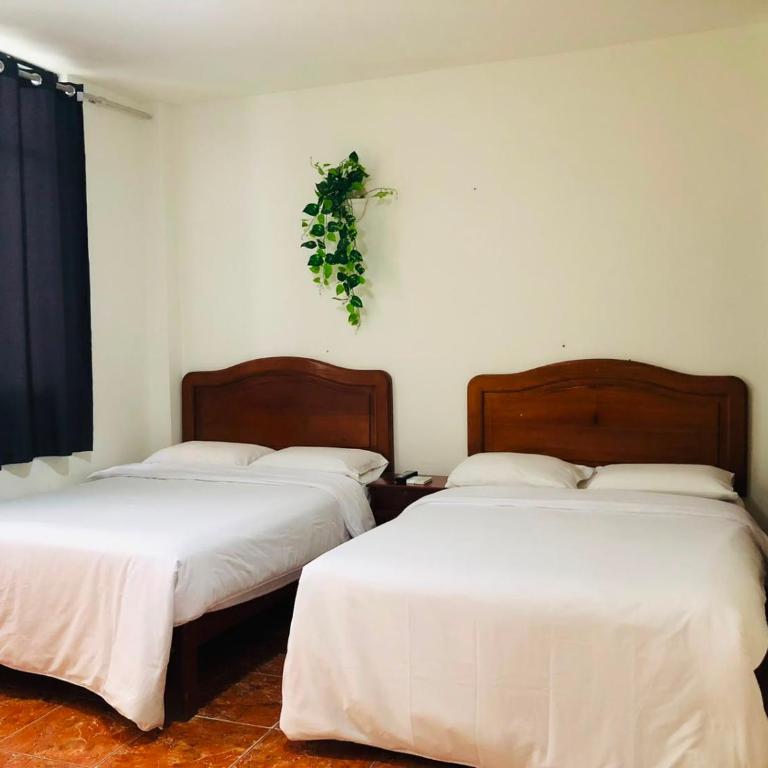 Hospedaje Gran Imperial - Standard Twin Room - 1