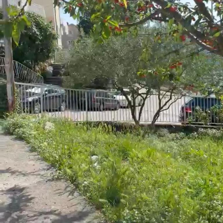 Miković Apartments - Apartman sa 1 Spavaćom Sobom - 2