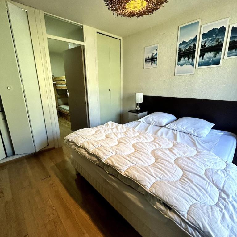 Bel appartement au centre de la station La foux, Alpes Francaises - Appartement 2 Chambres avec Vue sur la Montagne - 29