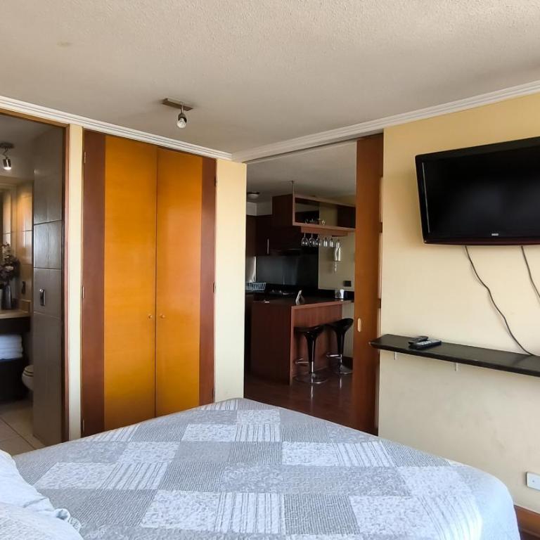 Departamento Manuel Montt - One-Bedroom Family Apartment - 45