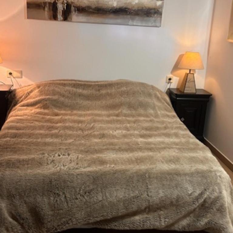 Appartement charmant avec parking - 2 pers., vue montagne - Appartement 1 Chambre - 11