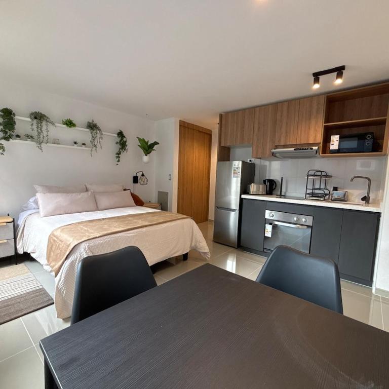 Studio para 2, Santiago centro histórico y connected downtown - Studio Apartment - 2