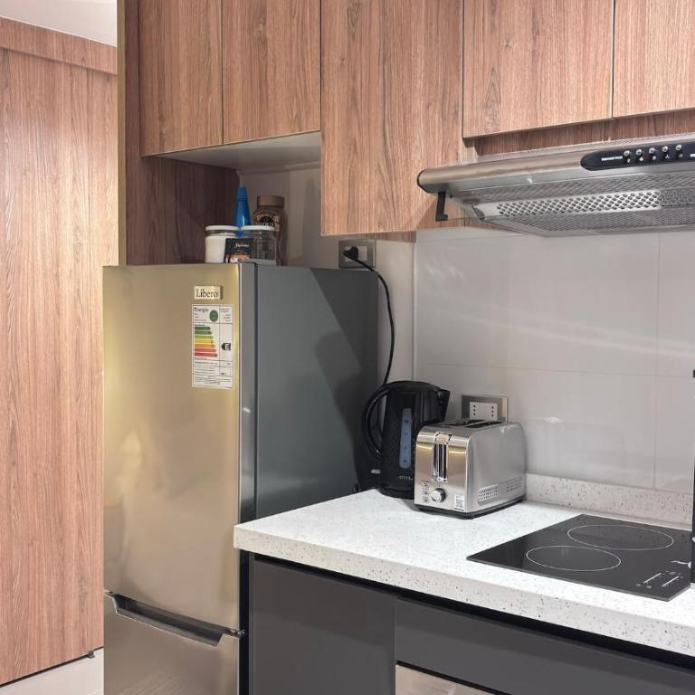 Studio para 2, Santiago centro histórico y connected downtown - Studio Apartment - 7