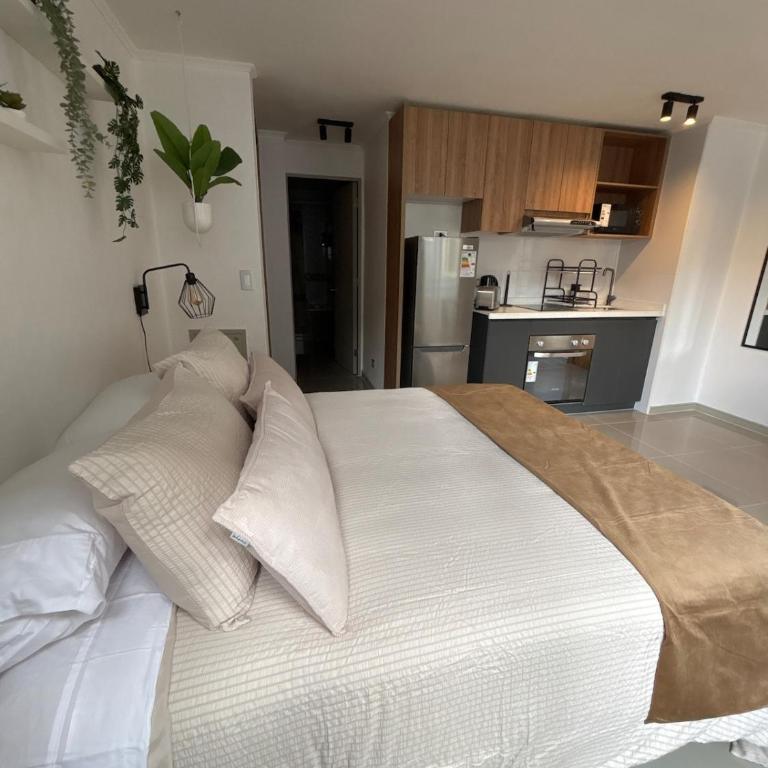 Studio para 2, Santiago centro histórico y connected downtown - Studio Apartment - 11