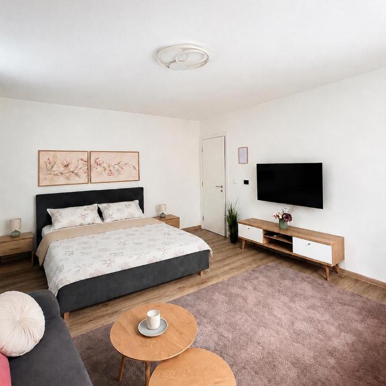 Ilidža Park Apartments - Studio s King-sajz Krevetom i Sofom na Izvlačenje - 4