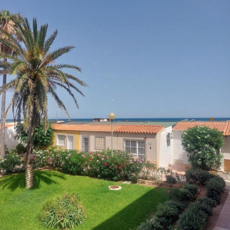 Tropical sun - One-Bedroom Apartment - 4