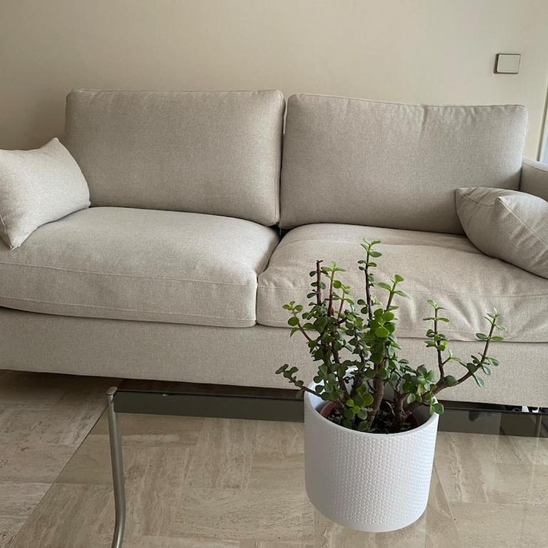 Studio with direct access to the sea - Private parking - Appartement 1 Chambre - 8