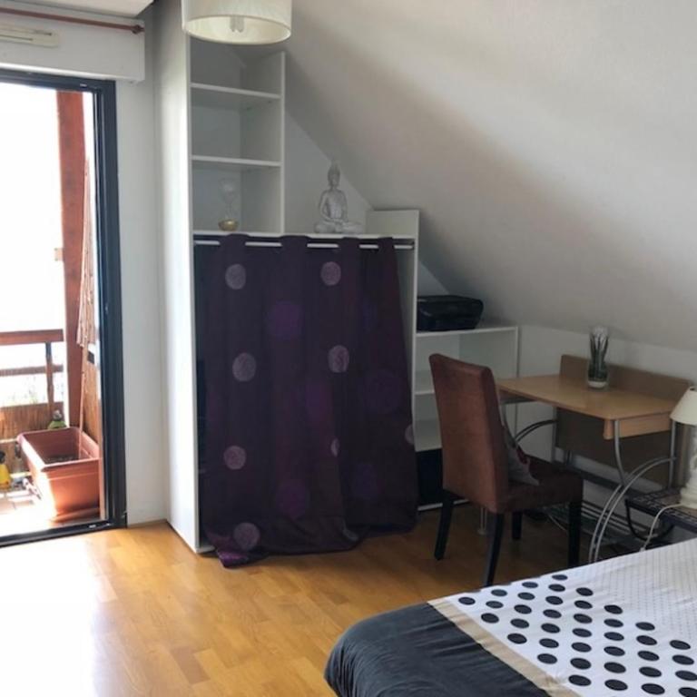 Apartment Spectacular view Annecy lake - Appartement 2 Chambres - 4