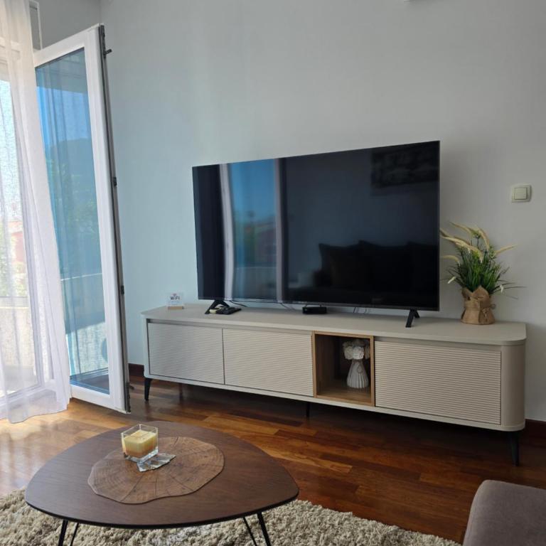 Apartments Bujkovic - Apartment with Sea View - 11