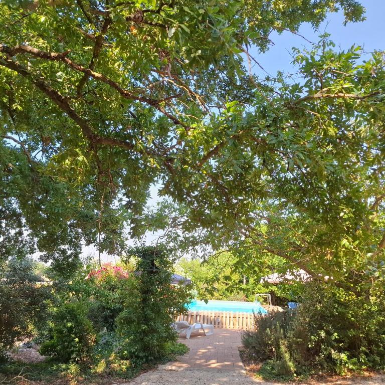 Trulli con piscina privata - Casa con 4 camere da letto - 51
