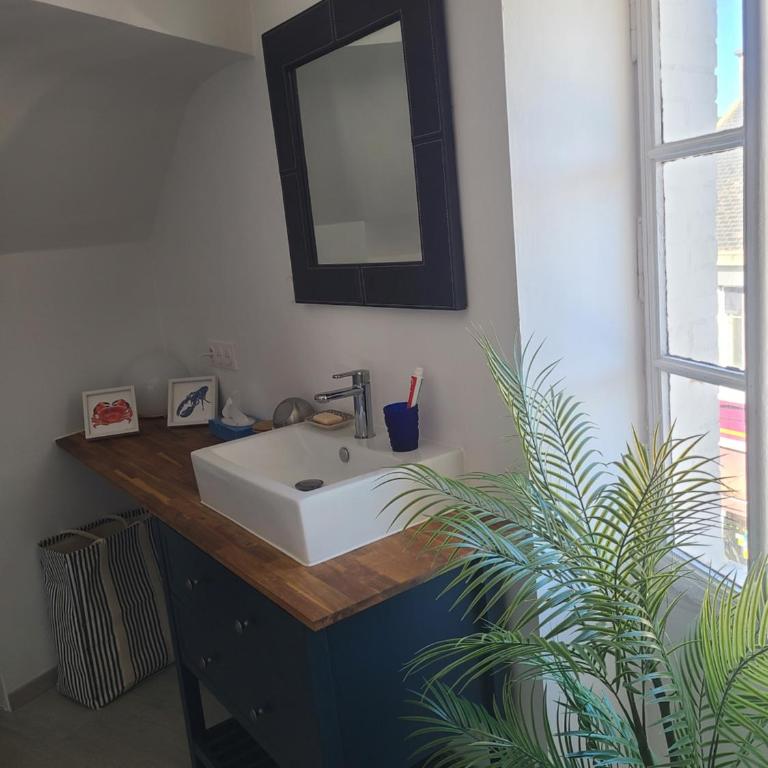 Loft de charme accès privé plage - Appartement 2 Chambres - 12
