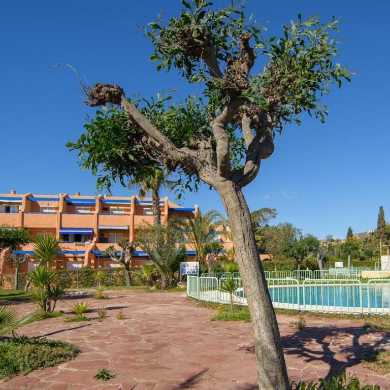 Natura Mediterranea 13 estudio nudista con piscina - One-Bedroom Apartment - 3