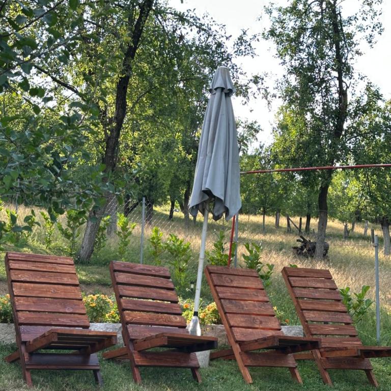 Vikendica Cokori - private pool and jacuzzi - Haus mit 3 Schlafzimmern - 5