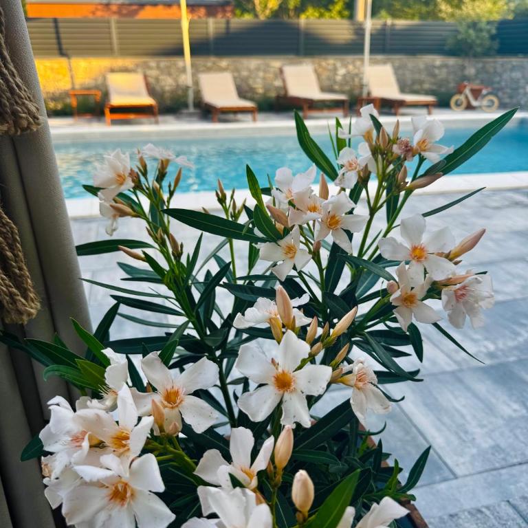 Villa Aurelia Wellness Bihać - Vila sa 3 Spavaće Sobe - 57
