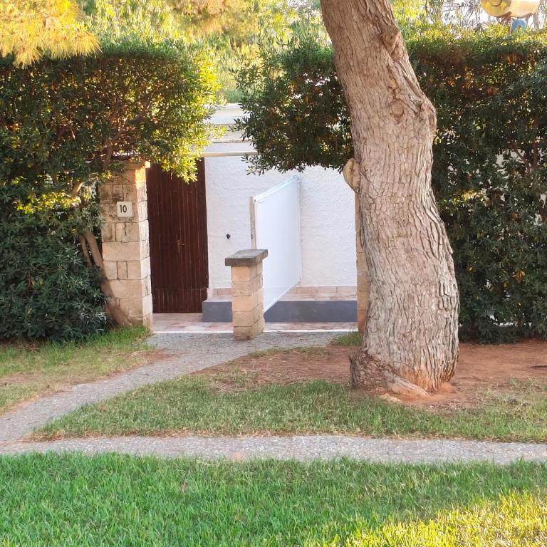 Le casette Punta Pizzo - Casa con 2 Camere da Letto - 4