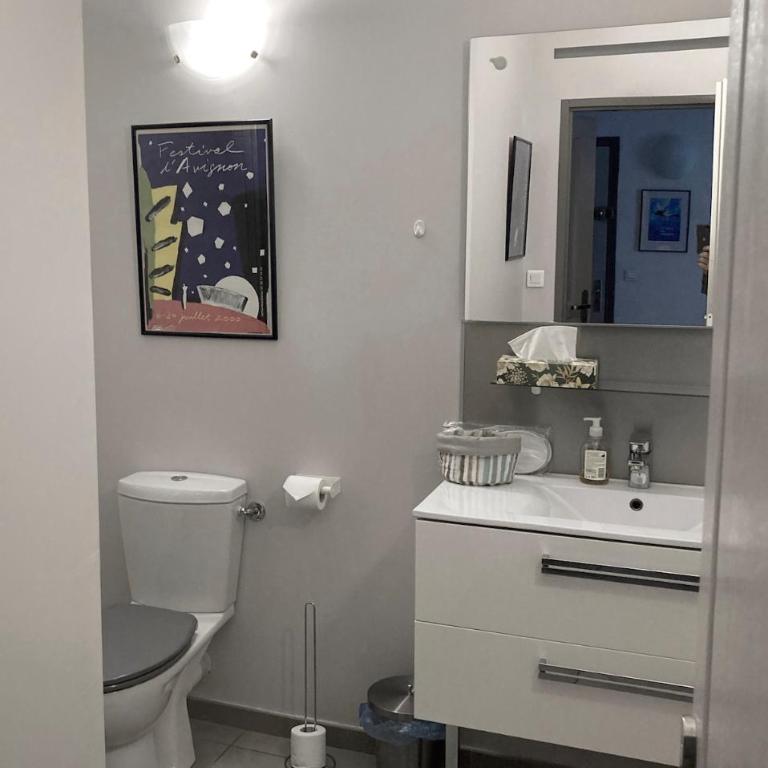 Les CELESTINS 2rooms Air-conditioned Garage Center Quiet WiFi - Apartment mit 1 Schlafzimmer - 16