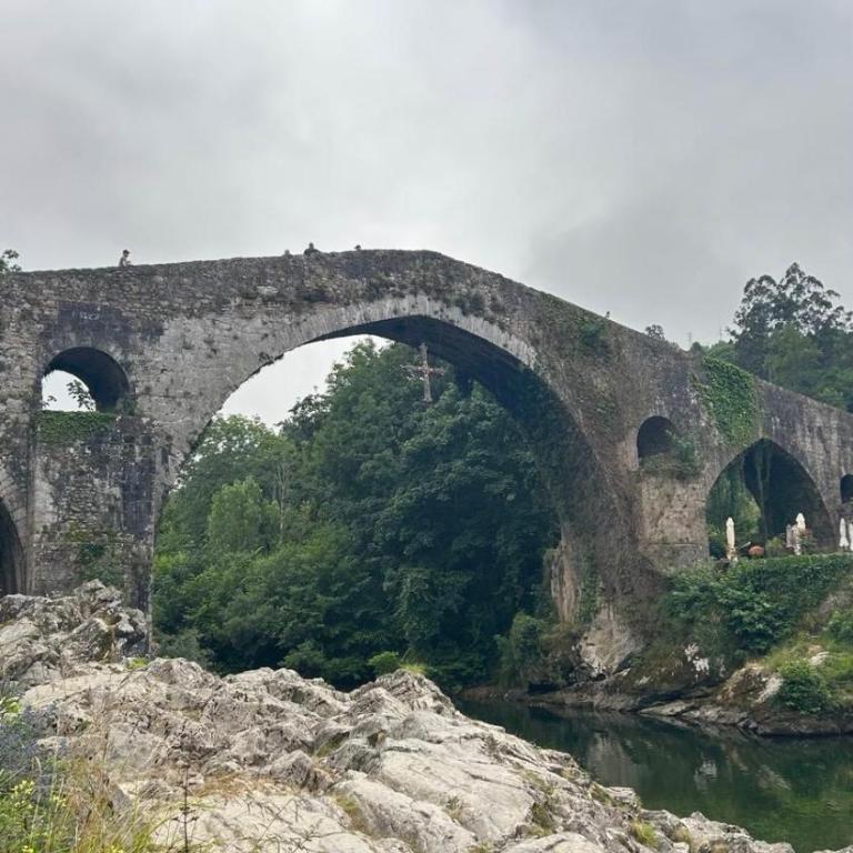 Apartamento en Cangas de Onís VUT7876AS - Apartamento de 3 dormitorios con vistas a las montañas - 16