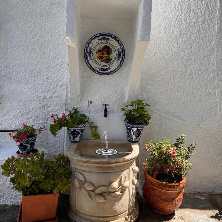 La Casa del Olivo - Casa de 3 dormitorios - 15