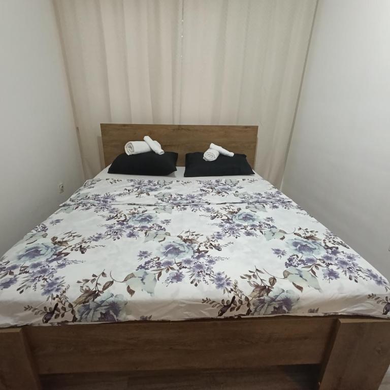 Evap apartment - One-Bedroom Apartment - 2