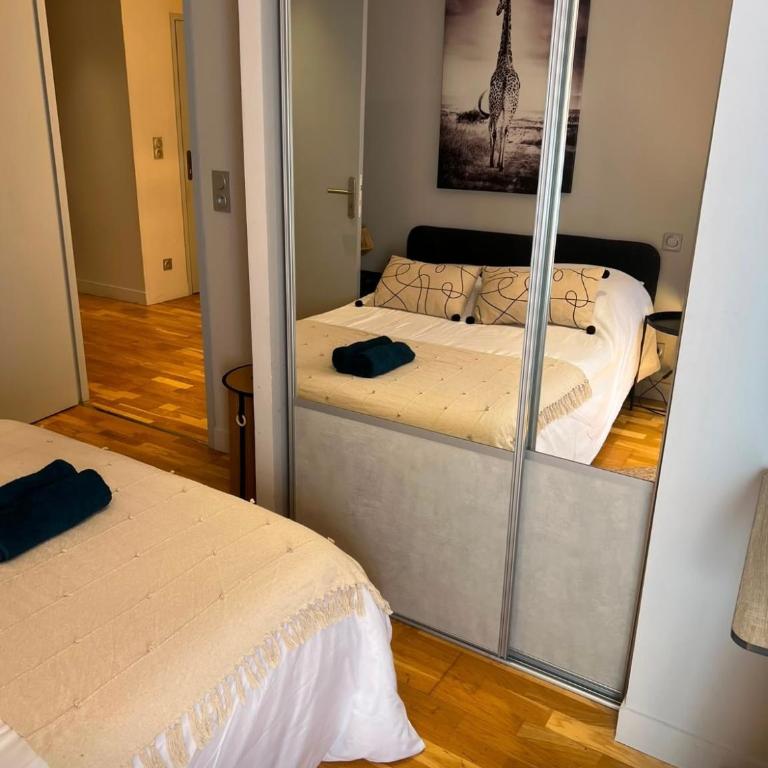 APPARTEMENT LUXUEUX CLIMATISEUR PARKING PRIVÉ WIFI METRO AEROPORT Centre Ville CAMPANS CAFFARELLI - Apartment mit 2 Schlafzimmern - 32