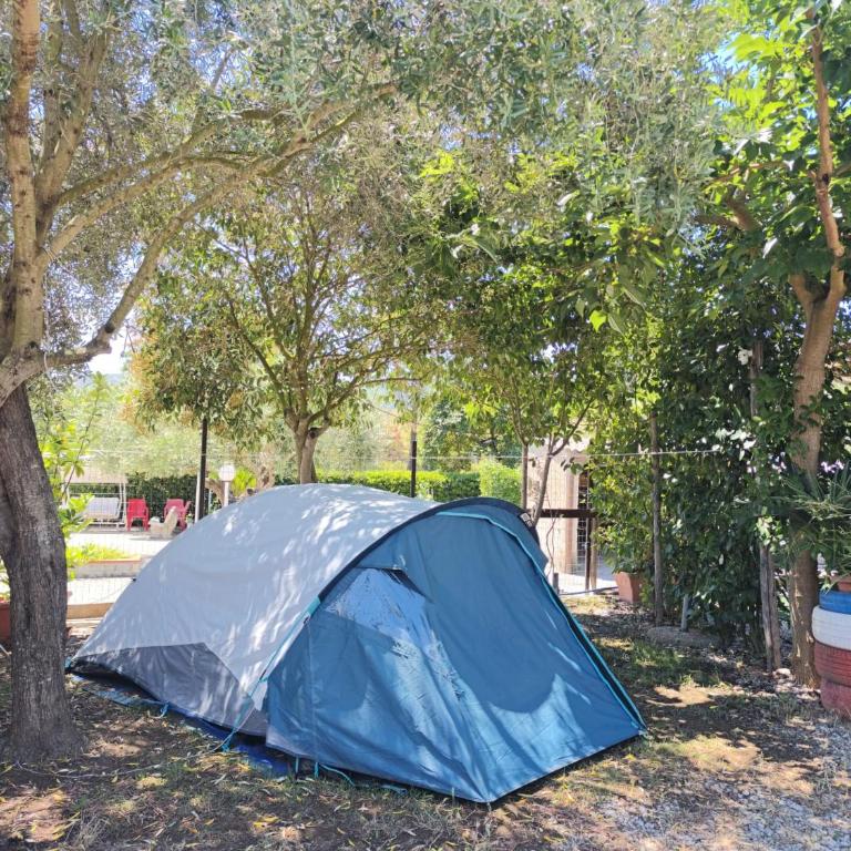 LA VOLPE DI AGROPOLI - Tenda - 1