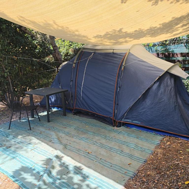 LA VOLPE DI AGROPOLI - Tenda - 1