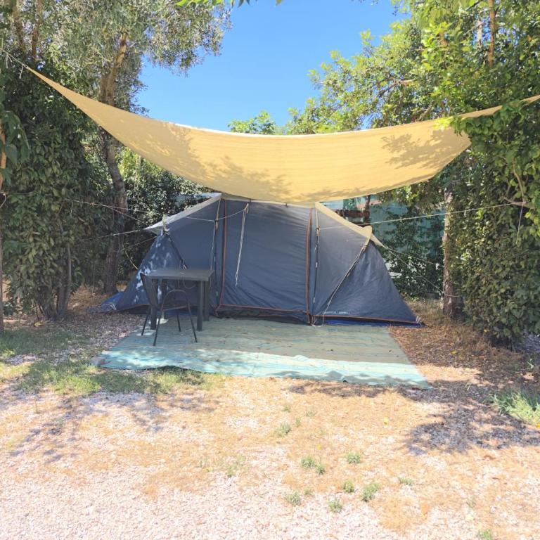 LA VOLPE DI AGROPOLI - Tenda - 2