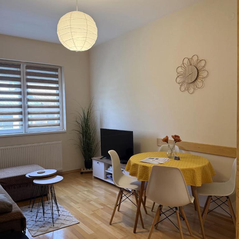 Apartman Ninolić - Apartman sa 1 Spavaćom Sobom - 3