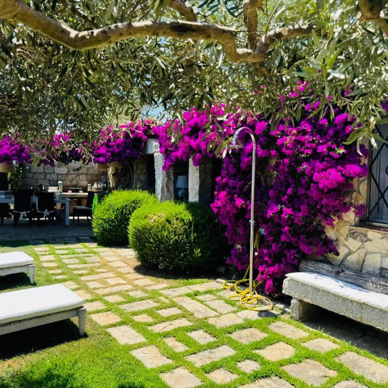 Villa Eden - Villa con 2 Camere da Letto - 10