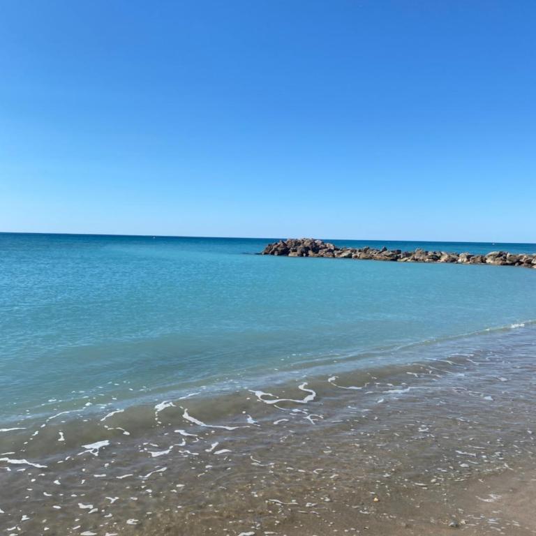 Maisonnette Ti Lézard Vert au calme à 100 mètres de la plage - Maison 2 Chambres - 19