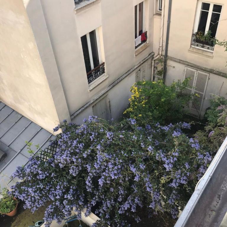 Poetic flat in Montmartre - Appartement 1 Chambre - 3
