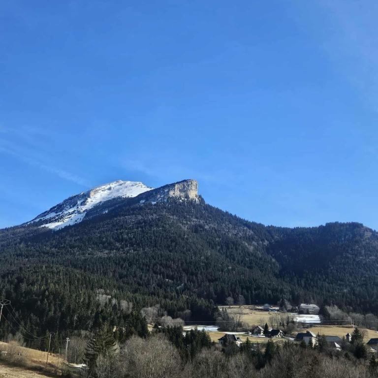 Le chalet chartreux - Appartement 1 Chambre - 11
