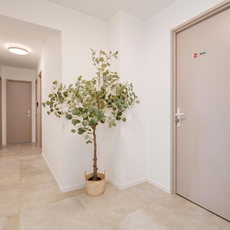 Le Belvédair Nancy avec Garage pour 8 personnes - Apartment - 9