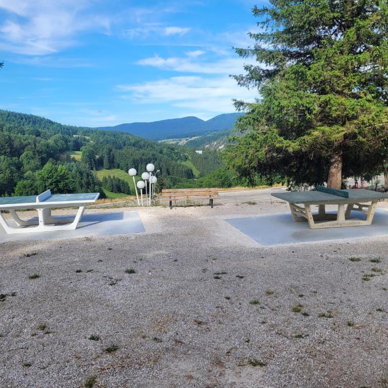 STUDIO plein sud "Les Arolles" Balcon de VILLARD DE LANS - Studio - Vue sur Montagne - 22