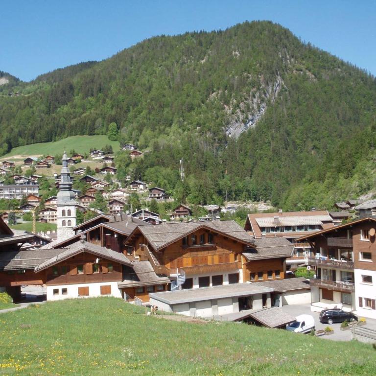 Studio cosy 4 pers, ski au pied, terrasse, garage, WIFI - FR-1-437-66 - Studio - 9