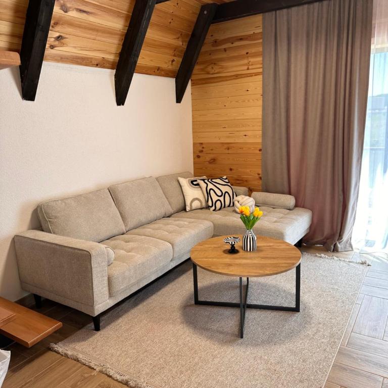 Durmitor Panorama - Maison 2 Chambres - 15