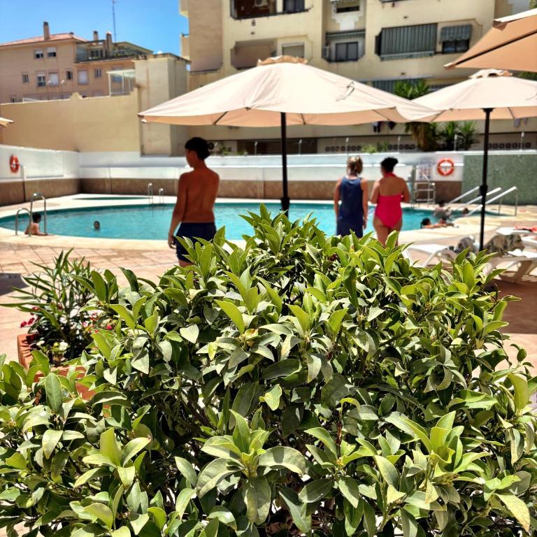 Central Apartment with Terrace & Seasonal Pool Terraza y Piscina - Apartment mit 1 Schlafzimmer - 30