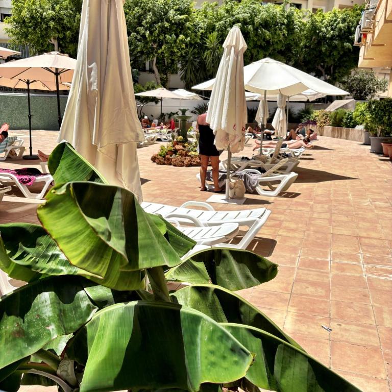 Central Apartment with Terrace & Seasonal Pool Terraza y Piscina - Apartment mit 1 Schlafzimmer - 34