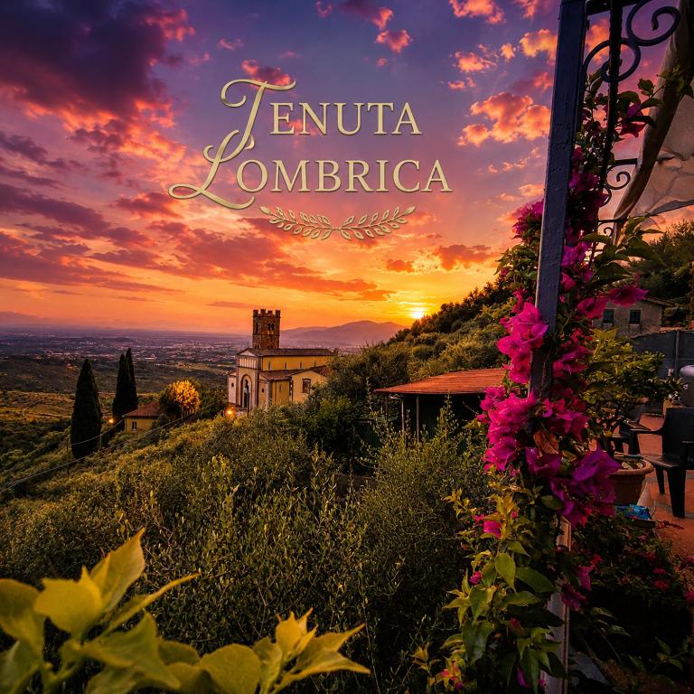 Tenuta Lombrica - Casa con 3 Camere da Letto - 8