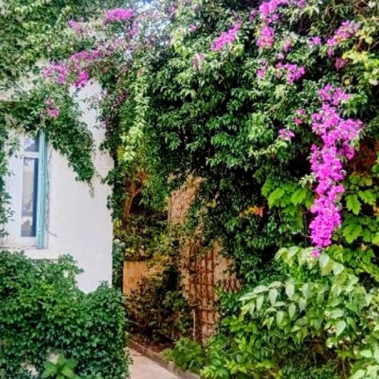 Villa Palma, grande chambre indépendante avec sdb et kitchenette dans maison de charme en centre ville - Apartment mit 1 Schlafzimmer - 15