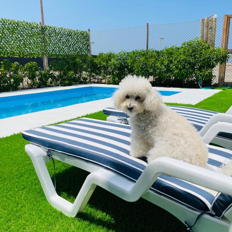 Casa de playa Aitana del mar - One-Bedroom House - 24